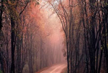 今天有男篮视频直播吗？都有哪些精彩看点？